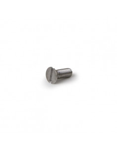 Buy Nuova Simonelli 00300021 Shower Screw M6x16 in Saudi