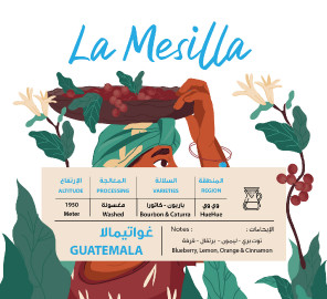 قهوة عالم المقاهي - غواتيمالا – لا ميسيلا – تقطير – 250 جرام 2