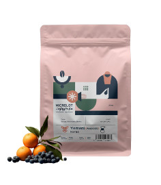 Buy Microlot Roaster Yemen Haraz Anaerobic Coffee Beans 250g in