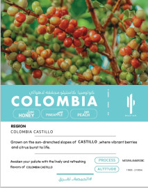 Cacti beans Colombia Castillo 250g Natural Anaerobic