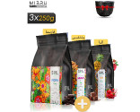 Soil Roastery's Drip Coffee Crop Pack