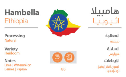 قهوه هامبيلا - اثيوبيا من لاك 250 جرام 2