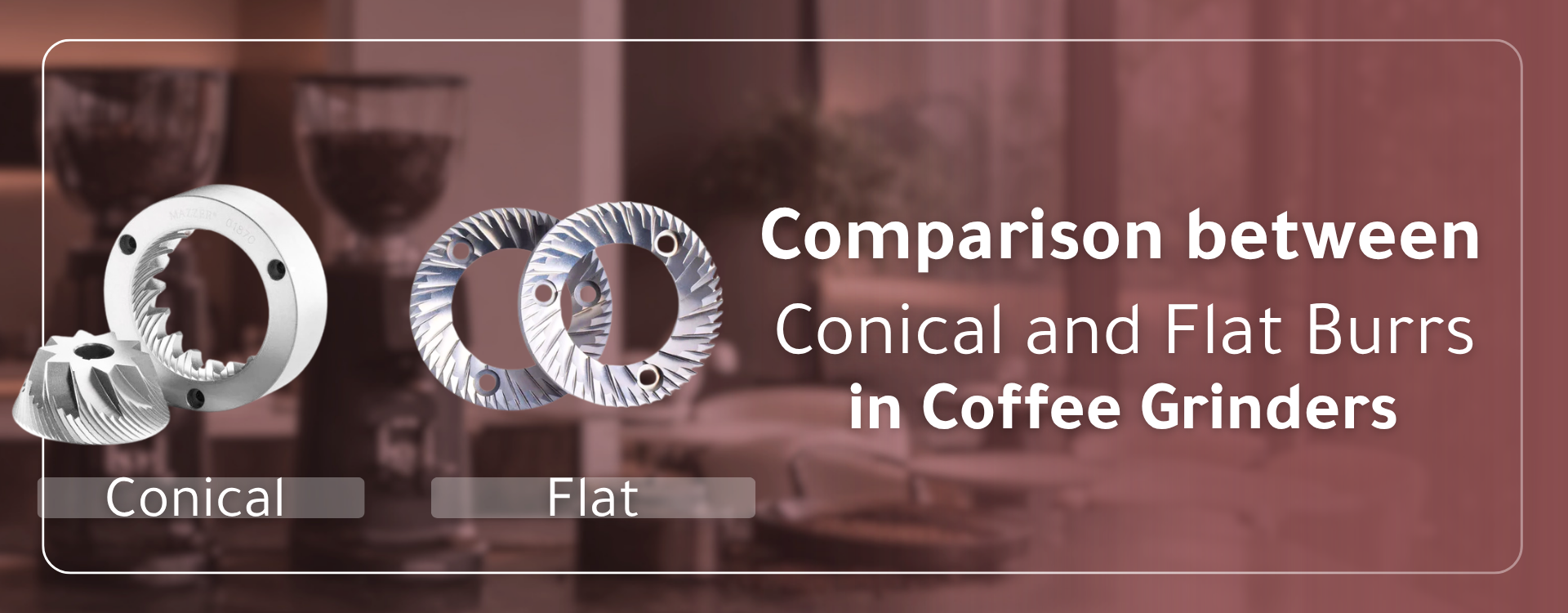 Flat vs. Conical Burrs: How to Choose the Right Coffee Grinder for You?