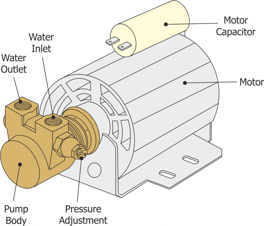Rotary Pump